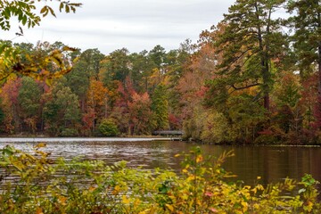 Beautiful scenic view of a lake with autumn leaves of various colors in the background