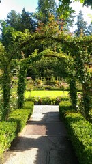 Fototapeta na wymiar Gate leading to a lush outdoor garden space surrounded by vibrant blooms in various hues