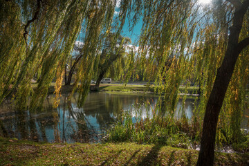 Small pond in the city park