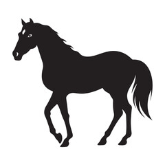 A horse black Silhouette vactor

