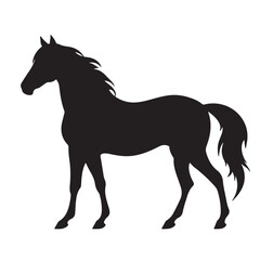 A horse black Silhouette vactor
