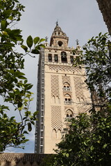 Fototapeta na wymiar mosque–cathedral, córdoba, andalusia