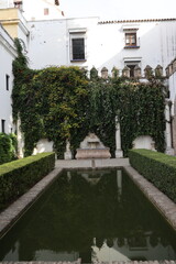 Obraz premium inside of alcázar, seville, andalusia