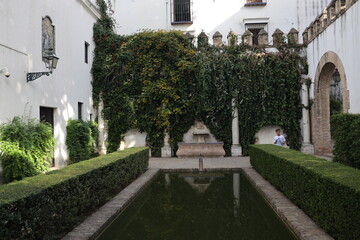Fototapeta premium inside of alcázar, seville, andalusia