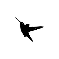 Flying Hummingbird Silhouette, can use Art Illustration, Website, Logo Gram, Pictogram or Graphic Design Element. Vector Illustration