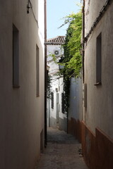 Fototapeta na wymiar street in the town of Granada, Andalusia, Spain