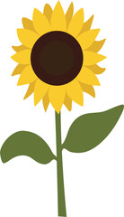 hand drawn sun flower summer floral background and wreath design