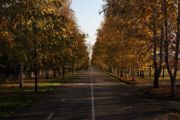 autumn parkway