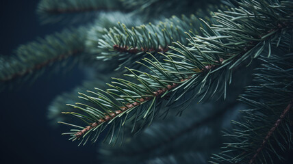 Close-Up Pine Tree Twig in Light Navy and Gray