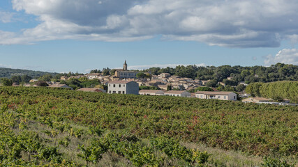 Fototapeta na wymiar The vineyards of Southern Rhone Valley in France