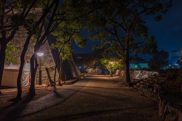 日本の岡山県岡山市のとても美しい夜の城