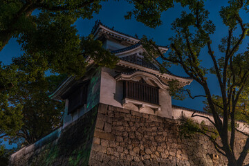 Fototapeta na wymiar 日本の岡山県岡山市のとても美しい夜の城