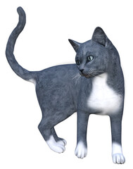 A series of various 3D cat illustrations, in different poses and fur shades. Image 14 of series