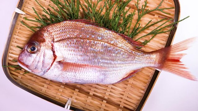 ザルの上の小鯛　回転