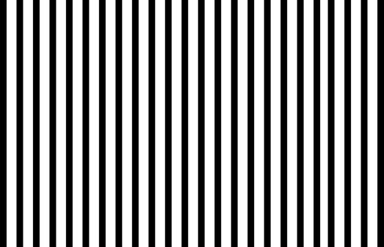 Fototapeta Stripe pattern lines light black white color background.
