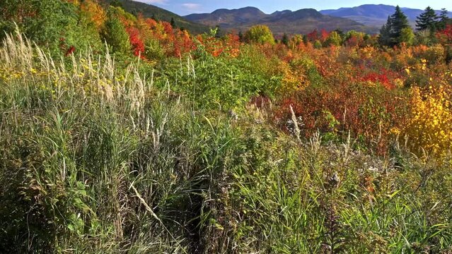 Autumn colored landscape view in New Hampshire