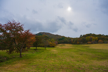 岡山県真庭市の蒜山高原の美しい秋の風景