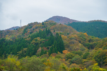 岡山県真庭市の蒜山高原の美しい秋の風景