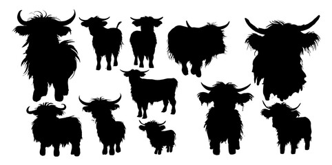 Highland cattle silhouettes