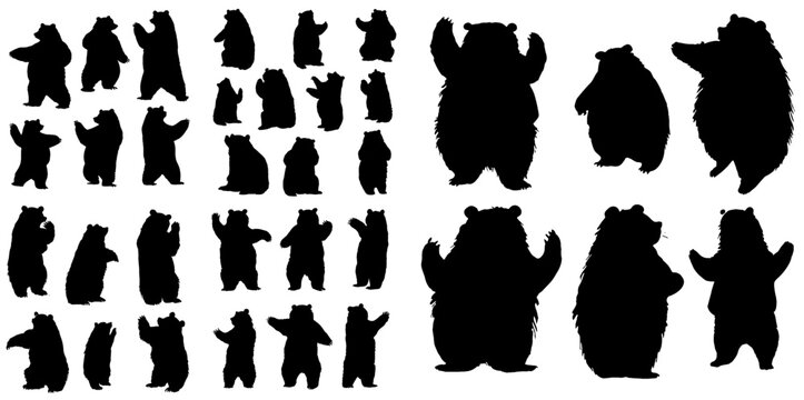 Bear silhouettes