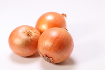 たまねぎ　産地直送