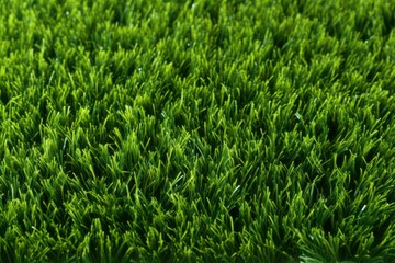 Obraz premium Lush and realistic artificial green grass texture background for landscaping and design concepts