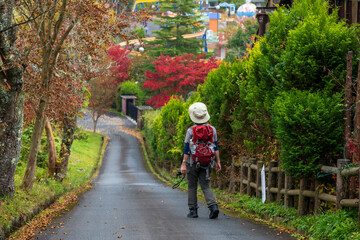 Fototapeta na wymiar 岡山県真庭市の蒜山高原の美しい秋の風景