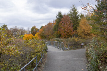 Corktown during fall in Toronto
