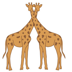 Fototapeta premium Giraffe couple