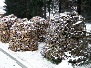 Round piles of wooden blocks prepared for the winter by people in the forest on the background of trees