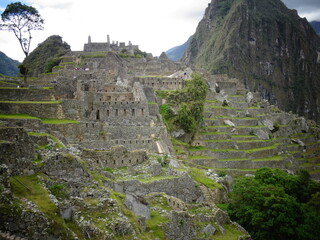 [Peru] Machu Picchu : Masonry of the ruins of the residential area and the view of Huayna Picchu mountain