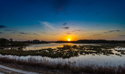 sunset over the park
