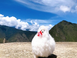 [Peru] Machu Picchu : White alpaca doll taking a commemorative photo against the backdrop of beautiful mountains and blue sky