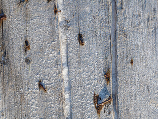 Texture of old construction boards with rusty bent nails. Weathered rough gray surface of dry wood. Natural rustic background.