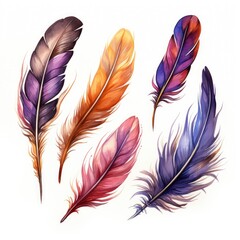 Watercolor multicolored rich bright feathers, dream catcher, isolated feather for different designs.	
