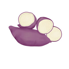 sweet potato illustration
