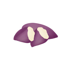 sweet potato illustration