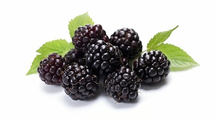 AI generated illustration of blackberries isolated on a white background