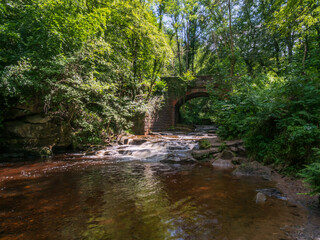 Cascade on River with Old Bridge