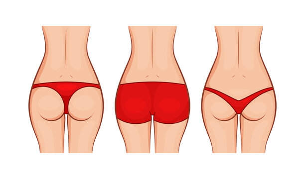 Types of woman panties back view vector isolated on white background.