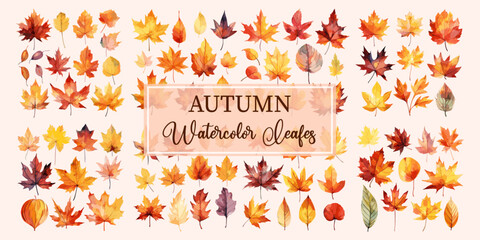 Fototapeta na wymiar Set of watercolor autumn leaves collection, leaf isolated autumn vector illustration