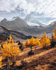 autumn landscape in the mountains 