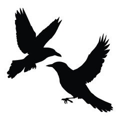 Silhouetted Bird in Flight on White Background