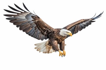 AI generated illustration of an eagle on a white background