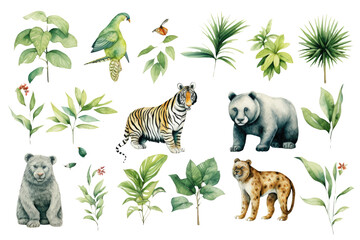 Rainforest Animals Set - obrazy, fototapety, plakaty