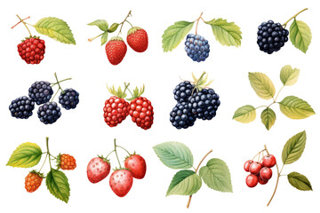 Berries Set