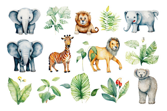 Rainforest Animals Set