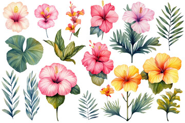 Tropical Flowers Set - obrazy, fototapety, plakaty