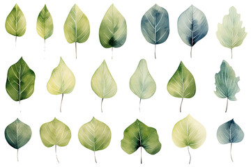 Leaf Patterns Set - obrazy, fototapety, plakaty
