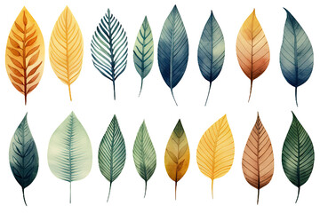 Leaf Patterns Set - obrazy, fototapety, plakaty
